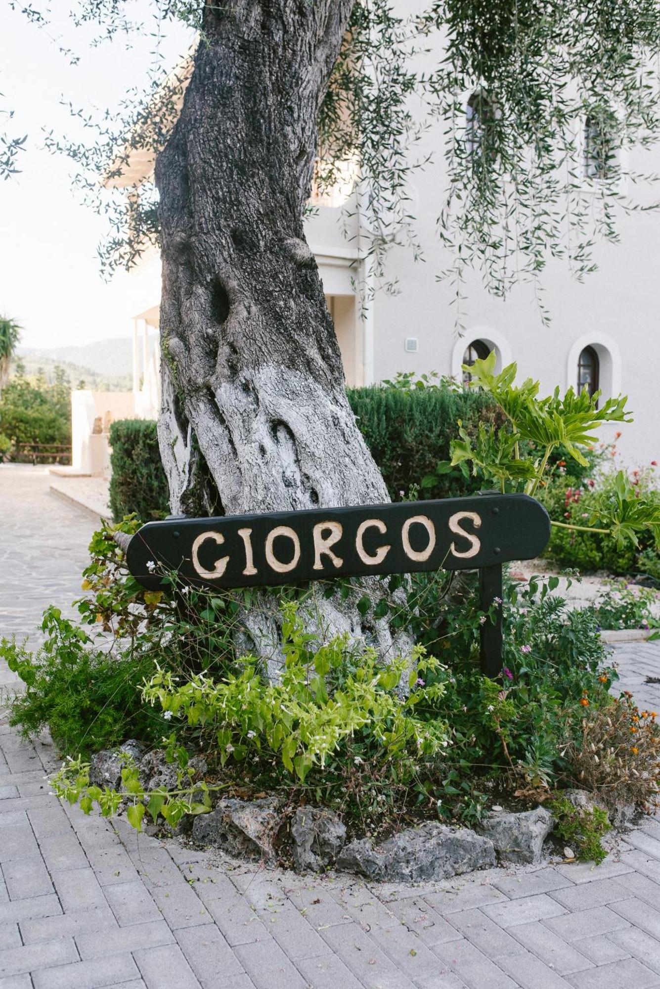 Giorgos Appartement Dassia (Corfu)